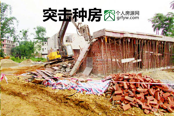 突擊種房子依法必強拆