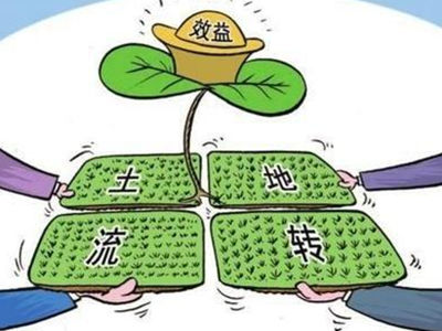 林業公司租土地搞開發長期拖欠租金