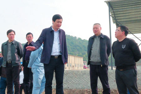 云溪區(qū)委書記張中于調(diào)研空心房整治工作