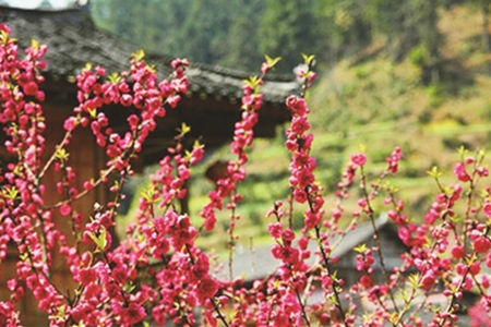 舟山桃花島民宿海景房