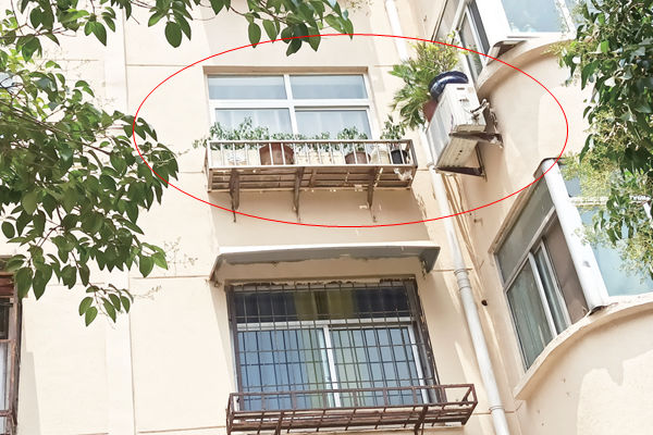 小區陽臺外搭架子養花可以嗎 澆花往下漏水惡劣天氣或會掉落 小區陽臺外搭架子養花可以嗎 澆花往下漏水惡劣天氣或會掉落